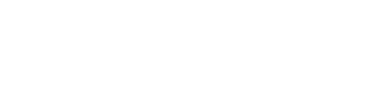 security shield logo